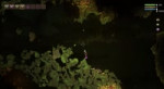 jungle.webm