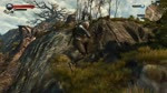 The Witcher 3 05.24.2015 - 01.55.42.52.DVR.webm