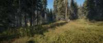 theHunterCotWF 2018-09-01 11-55-29-022.jpg