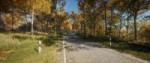 theHunterCotWF 2017-11-20 13-09-15-293.jpg