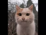 лорные волосы на ногах.webm