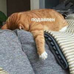 B9A76BCF-78D4-469E-A018-B8C3CC1EB543.jpeg