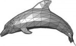 Dolphintrianglemesh