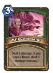 kill-command