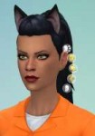 TS4x64 2018-01-25 03-47-06-49.jpg