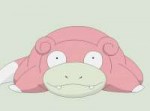 pokemon-slowpoke.jpg