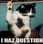 cat-i-haz-question.jpg