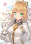 Saber.Bride.full.2029508.jpg