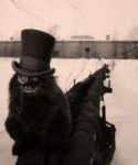 72384d4fd30d617c688b8bf06b5870aa--steam-punk-steampunk-cat.jpg