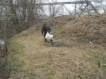 14874405364081.webm