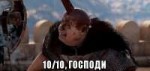 15169046531001.jpg