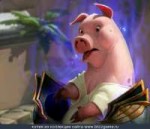 SetWidth850-Polymorph-Pig.jpg