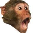 gtchimp.png