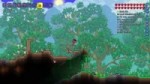 Terraria 2018-03-04 21-21-52-66.webm