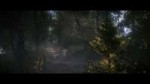 KingdomCome 2018-03-02 06-20-32-34.png