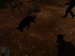 xrEngine.exe2018-03-02-20-00-04-554.jpg