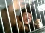  .webm