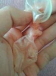 IMG20180305164532.jpg