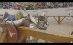  .webm