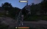 Kingdom Come  Deliverance Screenshot 2018.03.08 - 23.42.00.[...].png