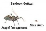 15201973554260.png