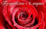 IMG-20180308-WA0001.jpg