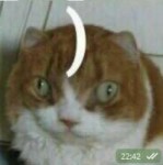 15120284379600.png