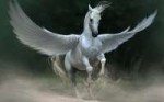 163-krylatyj-kon.jpg