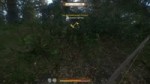 Kingdom Bow 1.webm