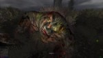 29.медведь.webm