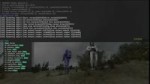 STALed.webm