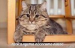 201602141202350a155c990288d5d0f91efcb4a03f0d38.jpg