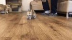 го посаны.gif
