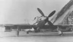 bv155-8.jpg