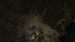 svrchok.webm
