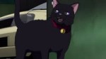 15105633722530.webm