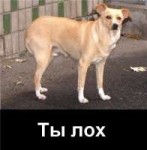 YzLXmO3wZSA.jpg