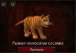 15204264193520.jpg