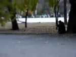 149ф56182035490.webm