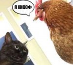 1511321239030594260.png
