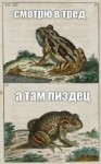 Смотрю в тред, а там пиздец.jpg