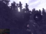 бизон.webm