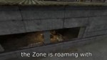 S.T.A.L.K.E.R. - The Cuckoo.webm