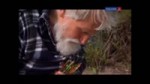 15229211920110.mp4
