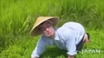 WELCOME TO THE RICE FIELDS.webm