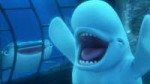 bailey-beluga-ty-burrell-finding-dory-disney.jpg