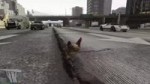 14414083965080.webm