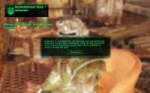 FalloutNV 2018-04-09 16-39-39-25.jpg