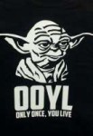 yoda-yolo.jpg