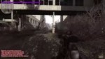 11.webm